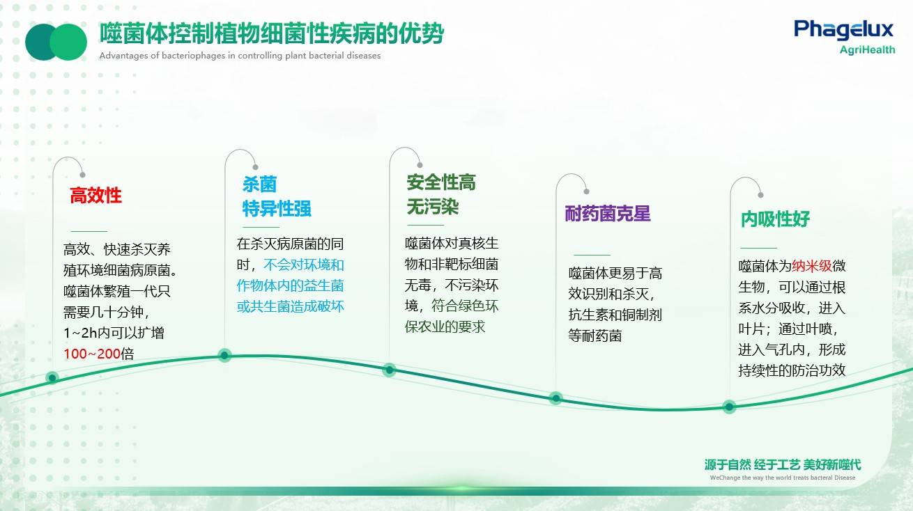 图片 3.jpg