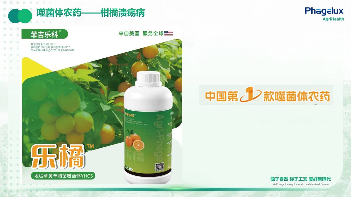 图片 6.jpg