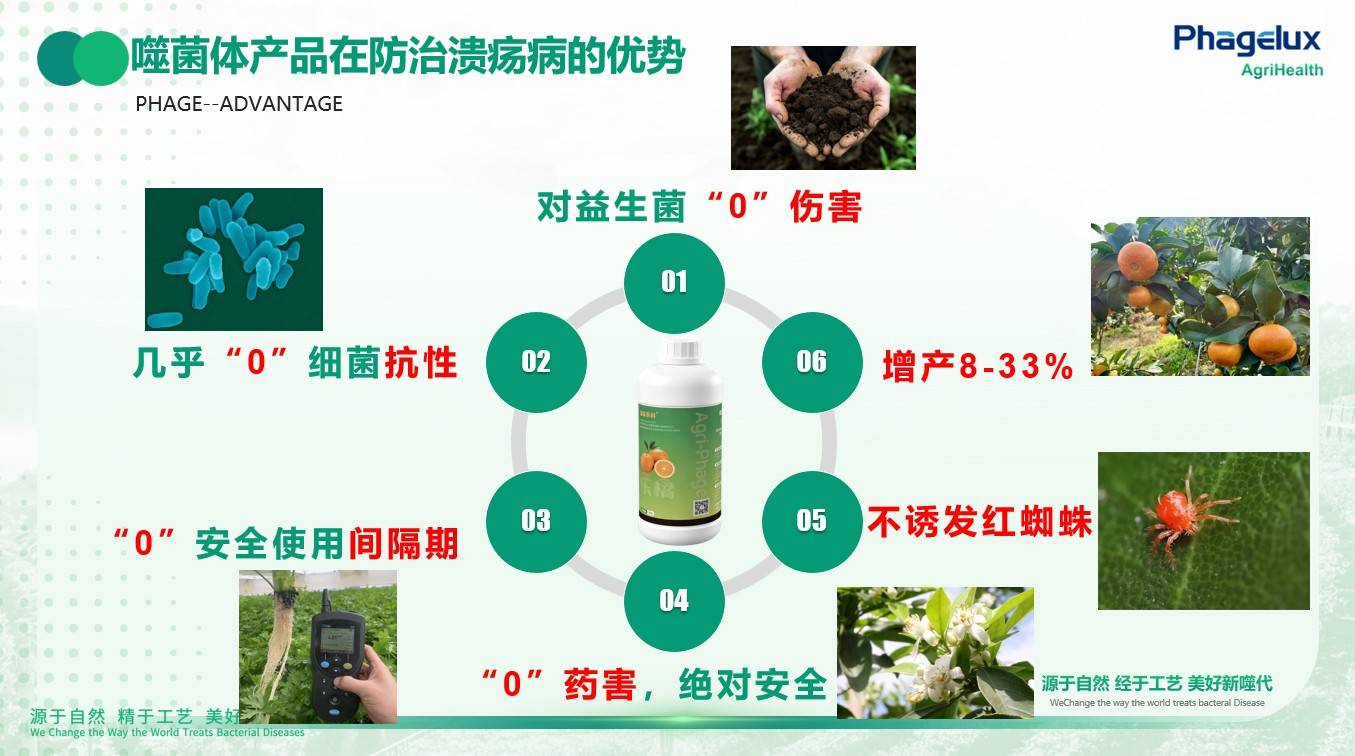 图片 7.jpg