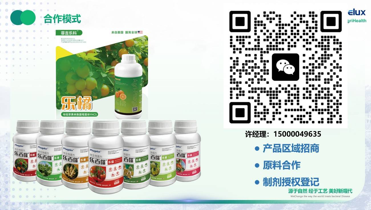 图片 8.jpg