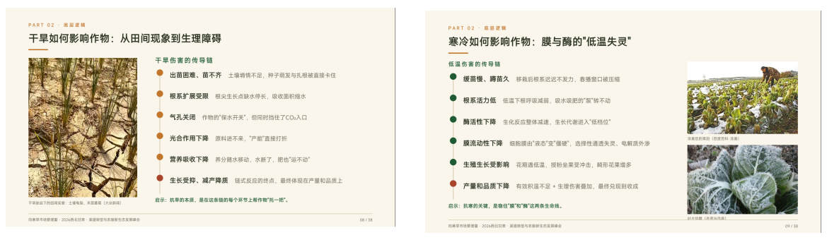 ScreenShot_2026-10-12_115921_369.png
