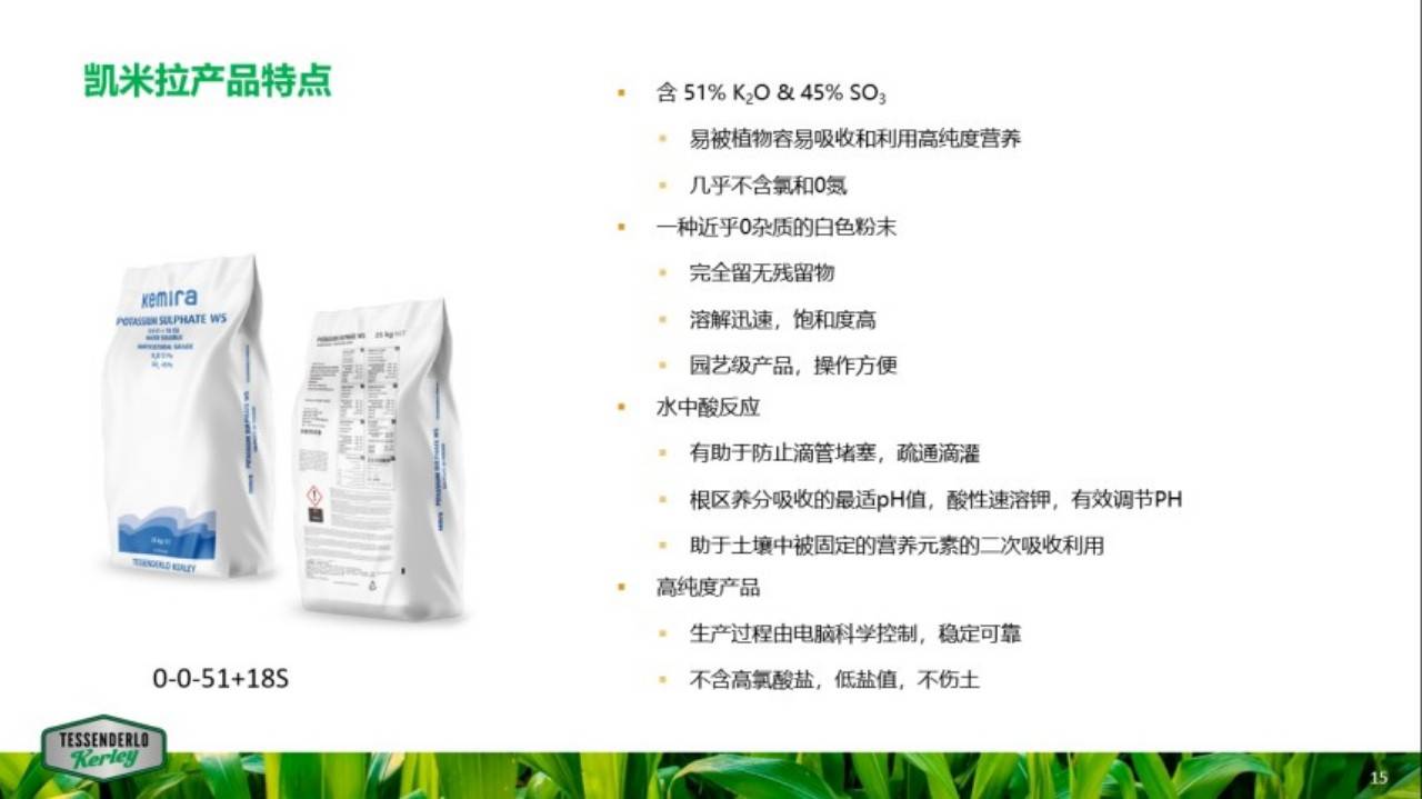 图片 4.jpg