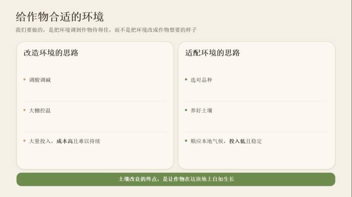 图片 3.jpg